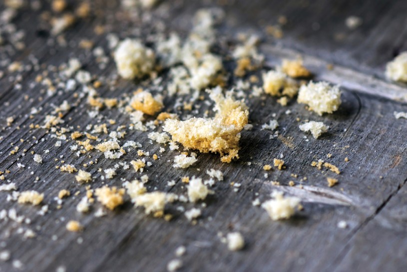 Трохи и нарцисизъм